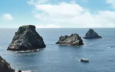 Balade en bateau à Camaret-Sur-Mer : Explorez les grottes et les criques