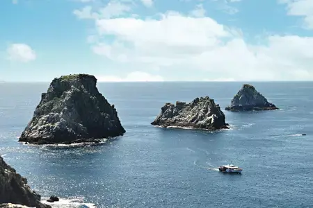 balade-en-bateau-camaret-sur-mer-vedettes-sirenes-crozon-01